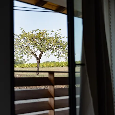 Loft D'architecte Jacuzzi, Cinema Et Filet Habitation Appartement Monnieres (Loire-Atlantique)